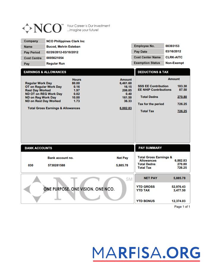 Realistic NCO PayStub sample